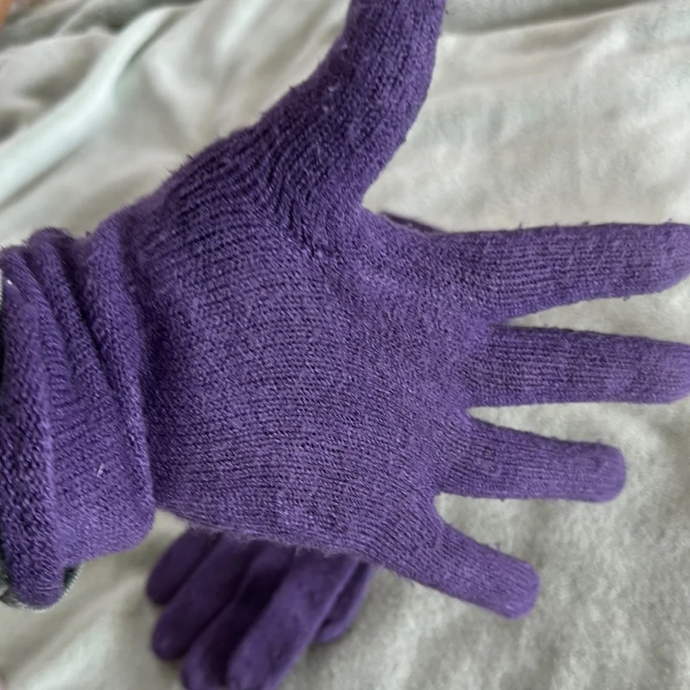 Echo Soft Elegant Purple Knit Gloves